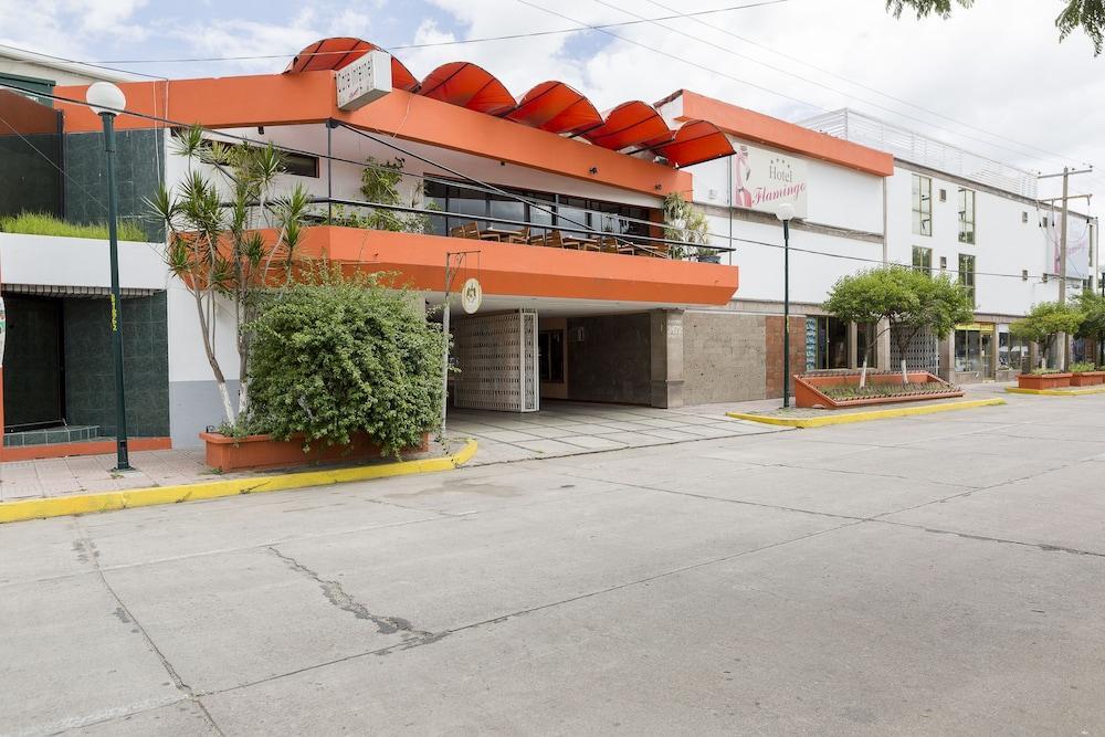 Hotel Flamingo Irapuato Exterior foto